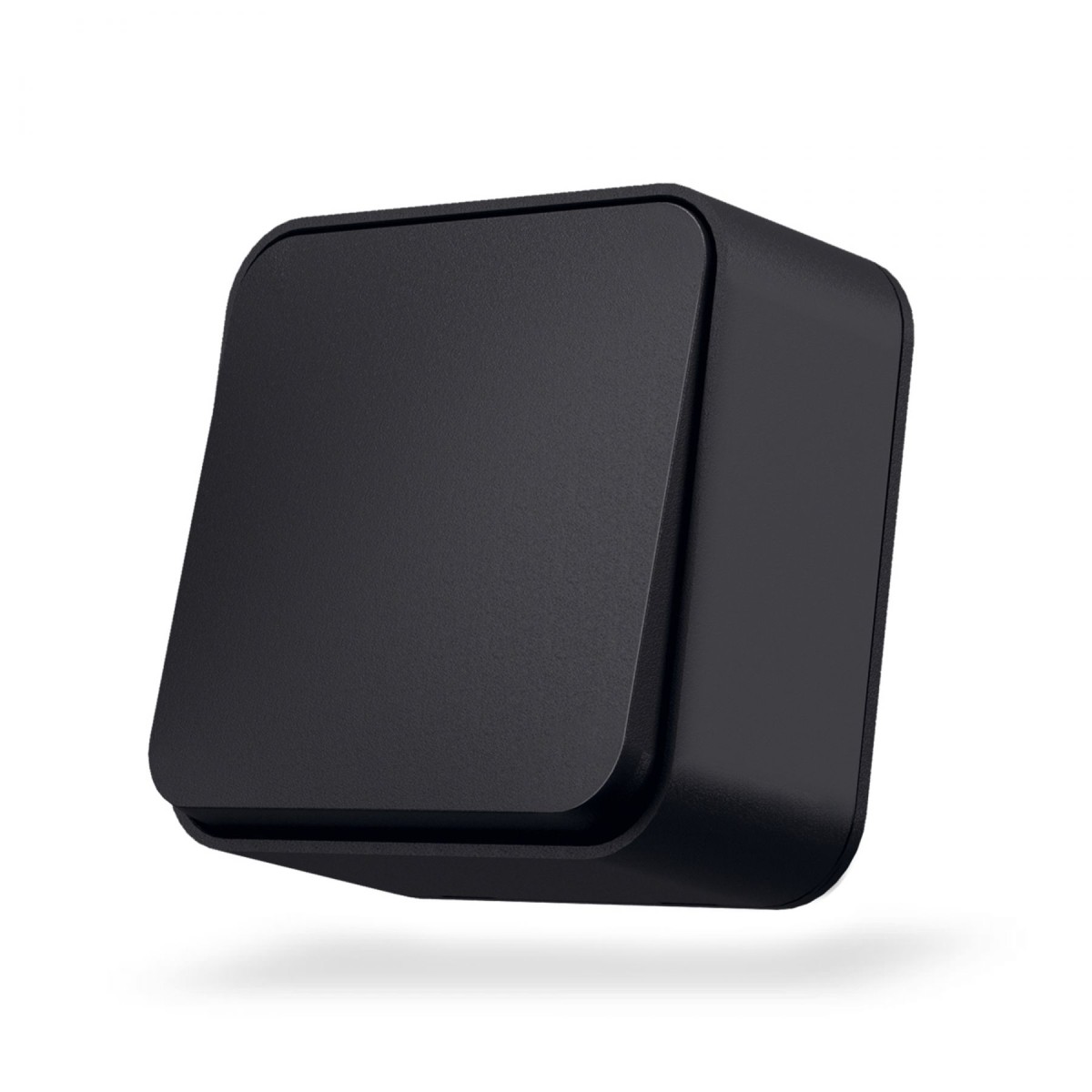 vf-bns11-bg-00.1800x1800w.jpg
