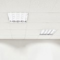 vle-t8-10064_4.1800x1800w.jpg
