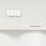 vle-t8-10064_4.1800x1800w.jpg
