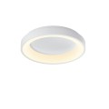 vle-erc-72w_2.1800x1800w.jpg